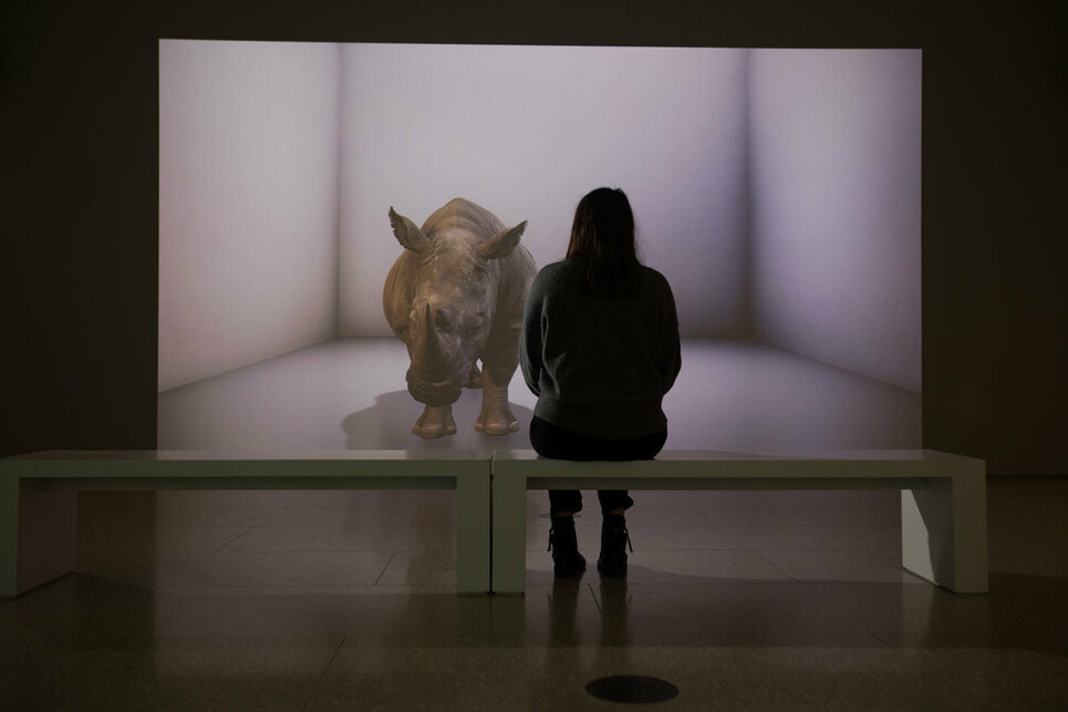 Alexandra Daisy Ginsberg: The Substitute – Installation view, Eco-Visionaries: Confronting a planet in a state of emergency, Royal Academy of Arts, London –  Photo: © Royal Academy of Arts, London / David Parry.