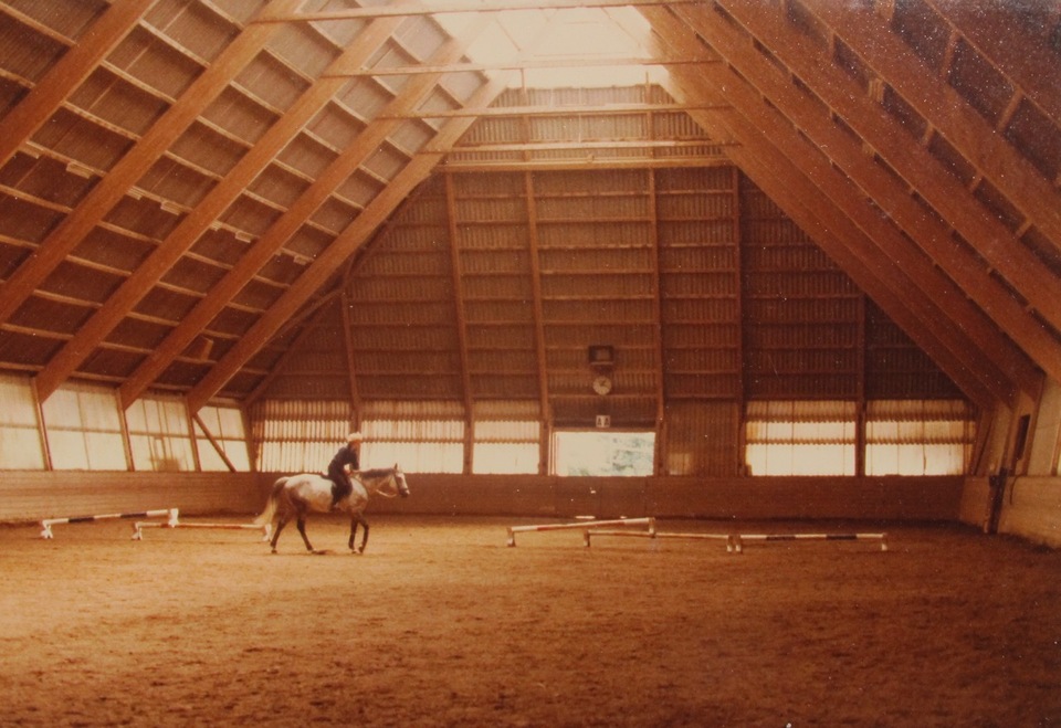 Lovardaépület, Svájc, Guth Ferenc, 1965 körül. Az egész épület tulajdonképp egy faszerkezetes, hullámlemezzel borított tetőzetből áll, melybe felülvilágítókon és az alsó zónában elhelyezett, ferde síkú ablakokon áramlik be a természetes fény.  