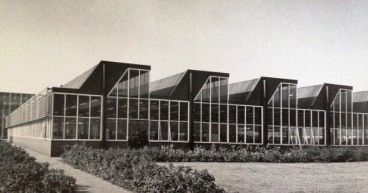 IJmuden, Hoogovens Központ, 1970 körül, tervező: Bodon Sándor (Wikipedia)