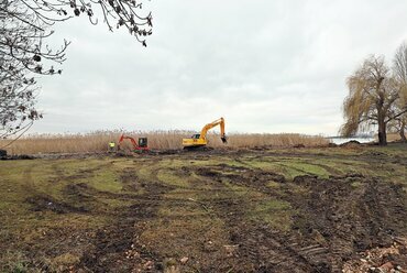 A nádas érintetlen marad, a néhány kivágott fát pedig pótolják. – Forrás: balatonfured.hu