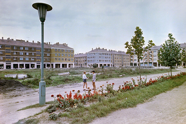 A szocreál lakótelep főtere - Frankel Leó utcai park 1964-ben, még kialakítása előtt. Az ötvenes években épült lakótelepen elsősorban a bánya és az erőmű dolgozói kaphattak lakást. / FORTEPAN – Lechner 