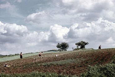 Háztáji munka. Pilisszentlászló, 1969. Fortepan / Zsanda Zsolt