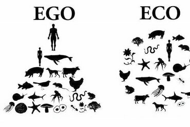 Az Ego-Eco-Seva ábrázolása.  Forrás: [2]
