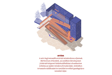 Artéria, Szívből tanulni – Az Archi.doc, a CAN Architects, a Fejérdy + Bartók Műterem és a NARMER terve a PPKE Campus pályázatára