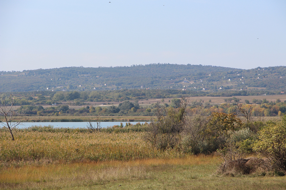 Külterületi építés a Balaton-felvidéken / Fotó: Wettstein Domonkos