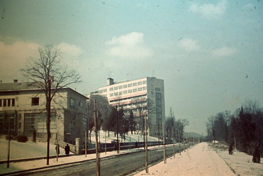 Kútvölgyi út, Országos Tisztviselői Betegsegélyző Alap kórháza (ma Semmelweis Egyetem Kútvölgyi Klinikai Tömb), 1943. Forrás: Fortepan