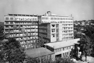 Kútvölgyi úti Központi Állami Kórház (ma Semmelweis Egyetem Kútvölgyi Klinikai Tömb), 1962. Forrás: Fortepan / Juráncsik Norbert
