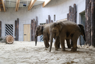 Elefántház a Veszprémi Állatkertben