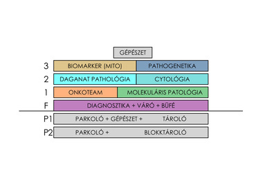 Sémametszet, ONKO Központ, az Országos Onkológiai Intézet diagnosztikai központja, Tervező: Artonic Design Kft.