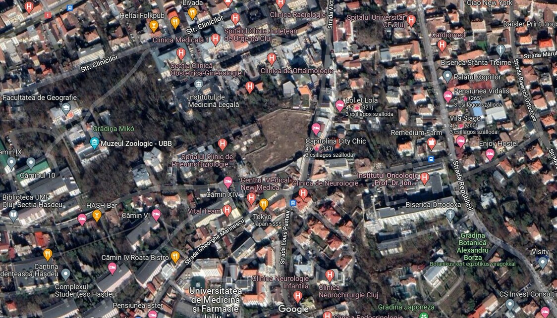 A helyszín műholdképe, középen az üres telek. Forrás: Google Earth