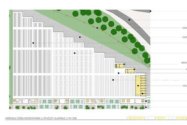 Hidrokultúrás Növényfarm – Virág Evelin diplomamunkája