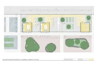 Hidrokultúrás Növényfarm – Virág Evelin diplomamunkája