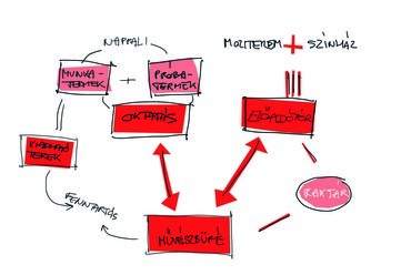 Vadkemping a városban - Offra Flóra diplomaterve - program