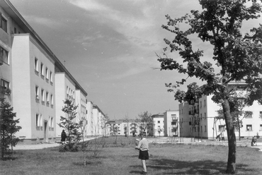 (Sztálinváros), balra a Május 1. utca házainak hátsó frontja az Ady Endre utcától a Babits Mihály utca felé nézve. 1953. Fortepan / Gallai Sándor