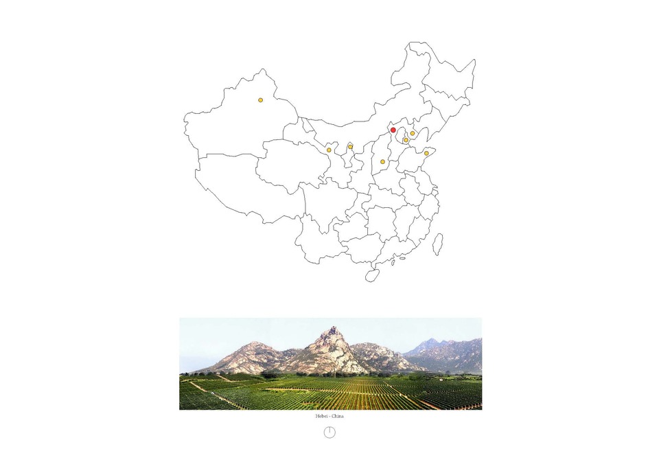 Szőlőszemek Kínában – Borászati és kulturális központ, Tervező: Kazi Zsolt, 2020-2021.