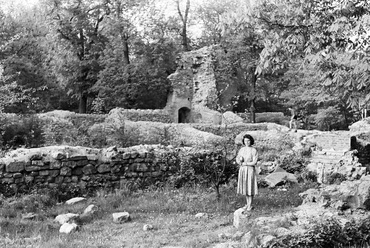 A domonkos kolostor elburjánzott romterülete 1957-ben, Forrás: Fortepan, Adományozó: Umann Kornél