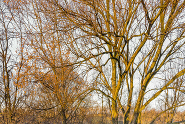 Nagy Zsinagóga Emlékpark Oświęcim-ben. Tervező: Narchitektura Fotó: Piotr Strycharski