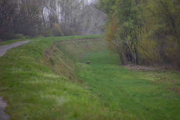 Sajfoki szivattyútelep, Tiszasüly, 2021. ©Nagy Mercédesz Erika