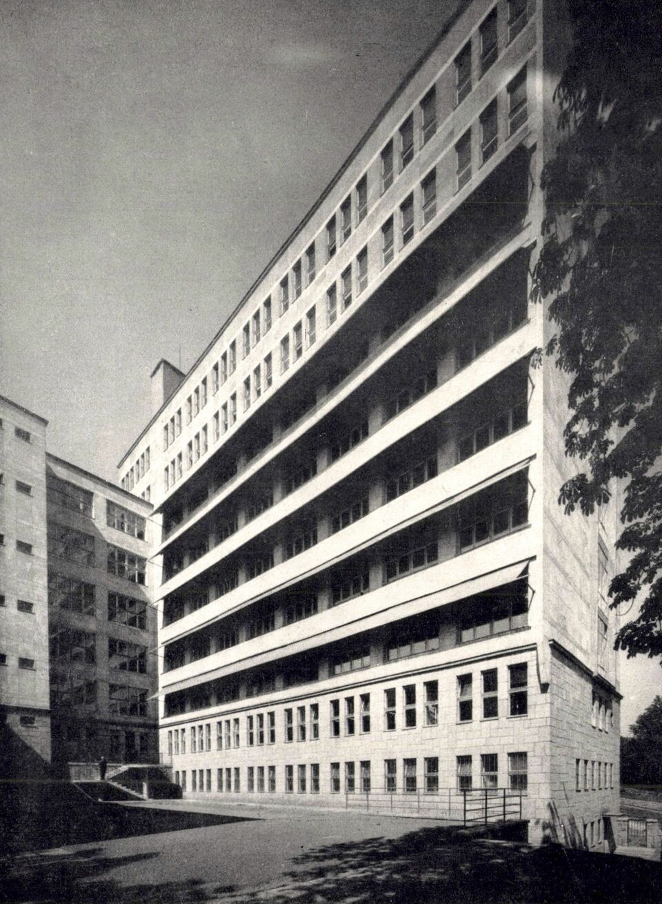 A Kútvölgyi Klinikai Tömb az átadást követően, 1962 – forrás: Fortepan
