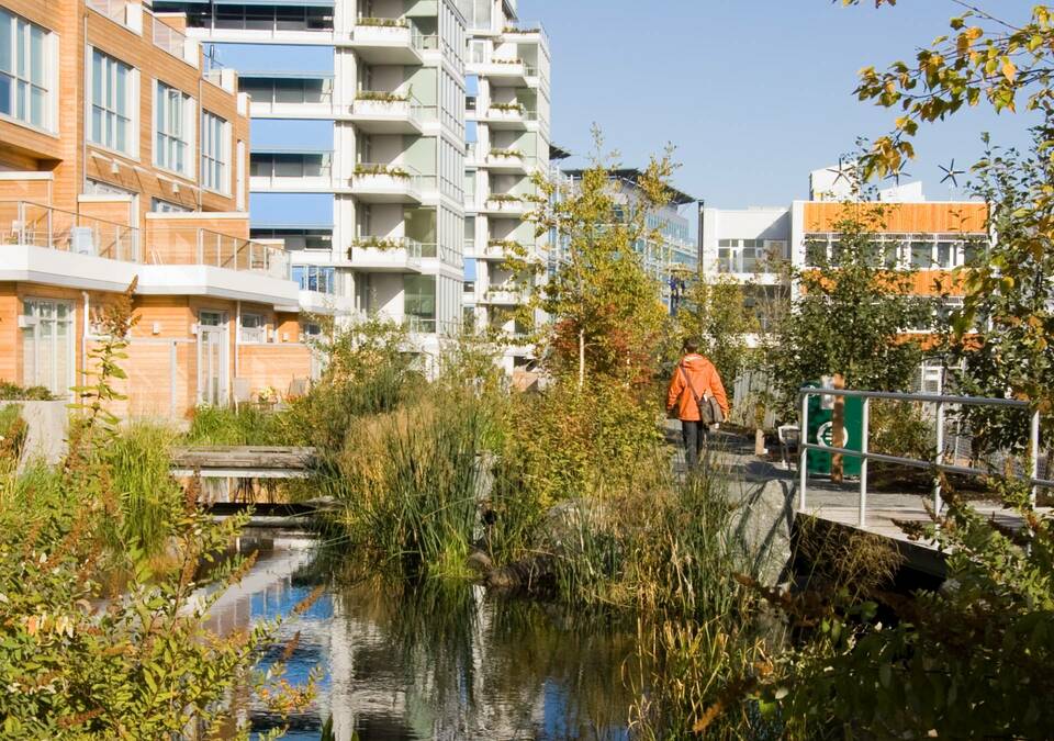 Busby Perkins+Will: Dockside Green Community. Victoria, Kanada. Egy példa a nem ritmikus érzékszervi inger mintára: az élőhely-helyreállításnak és csapadékvíz-kezelésnek köszönhetően lengedező fűcsomók, vízesések, az elhaladó rovarok zümmögése idézi elő a természet változékonyságát. Forrás: PWL Partnership
