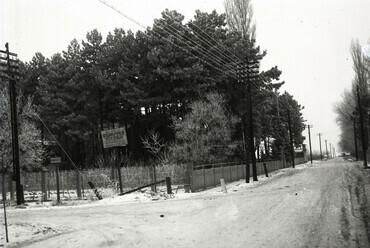 Balatonújhely. Vitorlás utca, Kaáli Nagy Dezső vízépítőmérnök, balatoni kikötők tervezője, az építések vezetőjének kertje. Leltári jelzet: MMKM TEMGY 2019.1.1. 1015, év: 1921 / Forrás: Fortepan 183455 / Magyar Műszaki és Közlekedési Múzeum / BAHART Archívum
