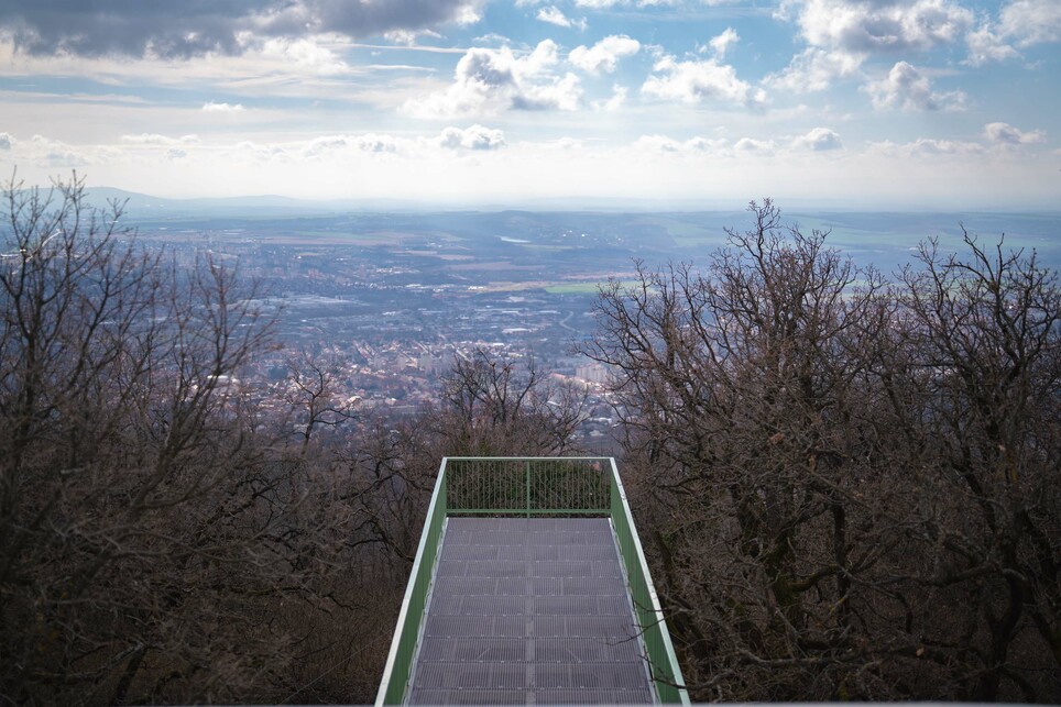 Lombkorona-stég. A Misina-tető komplex fejlesztése, Pécs. AU.ROOM Építész Műhely Kft. 2023-24. Fotó: Kovács Zoltán.
