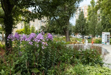 A Dráva park megújítása. Tájépítészet: Urban Concept. Fotó: Hirling Bálint
