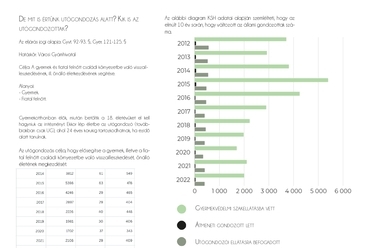 Utógondozó Otthon Kőszegen - Kelemen Fanni diplomamunkája
