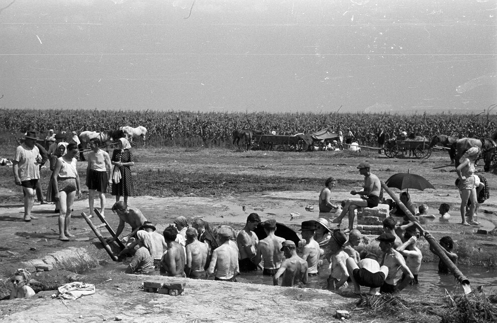 Csisztapuszta, 1957. Forrás: Fortepan 78719 / Berkó Pál
