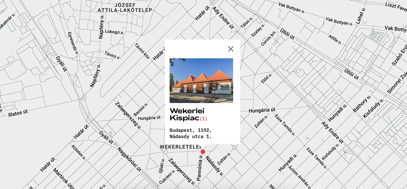 Térkép
