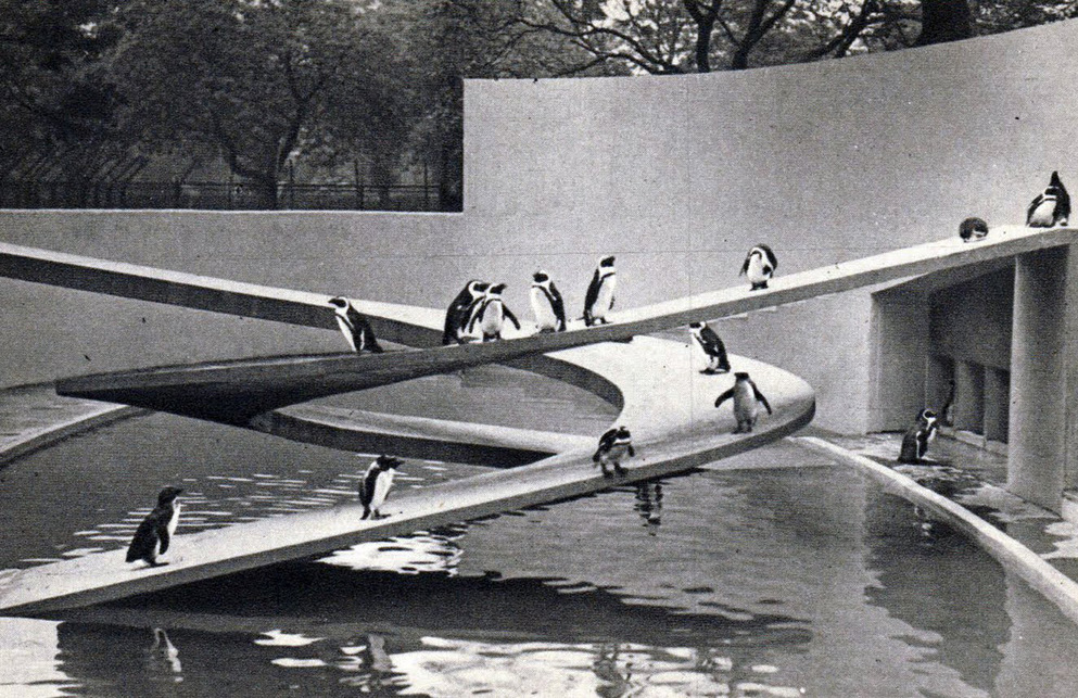 Lubetkin és a Tecton Pingvinúsztatója, 1934
