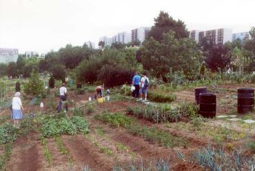 Kertészkedők az arborétum kertekben