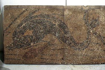 A híres delfines mozaik. BTM Aquincumi Múzeum