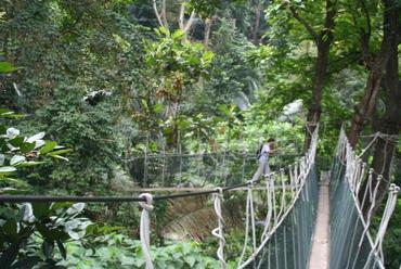 Kuala Lumpur, maláj őserdei függőhidas séta turistáknak