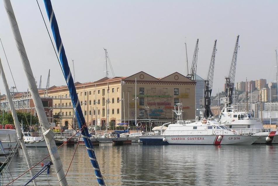 Genova, Porto Antico, Gyapot raktárházak (Magazzini del cotone), Il Bigo, Renzo Piano