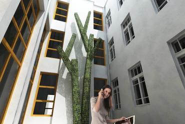 Wallner Krisztina - B Szabó Veronika - Szeift Zsuzsanna - Vesztergom Ádám: Győkereink