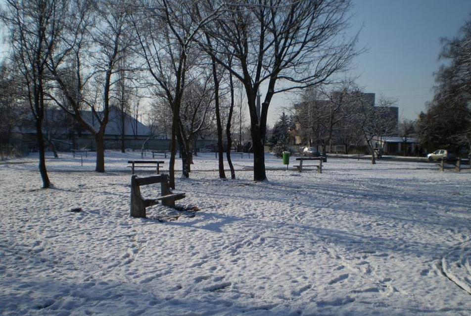 Kecskemét, Herman Ottó tér