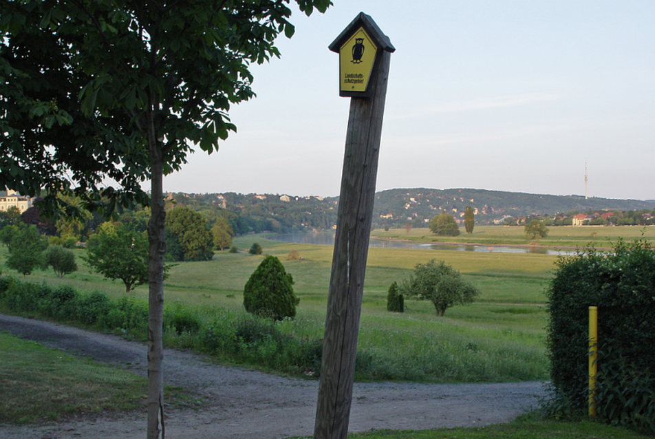 A Waldschlösschenwiese 2003-ban