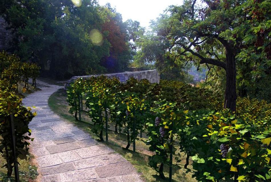 Történeti szőlőskert látványterve, forrás: Városarculati Tanácsnoki Iroda