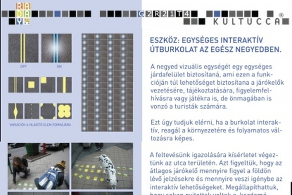 Csernátony Fanny, Ferth Tímea pályaműve