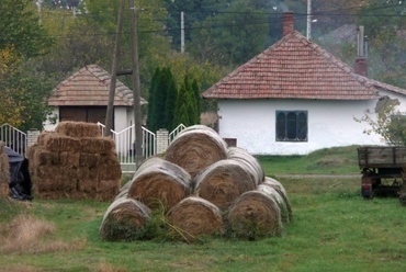 Gyomaendrőd 2009 fotó: perika