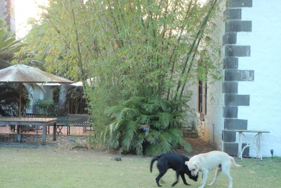 Moulin Casse, Mauritius. Vezető tervező: Geoffrey Bawa, fotó: Sánta Gábor.