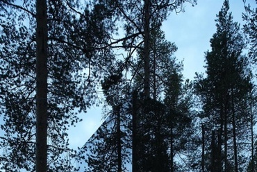 Tree Hotel - építészet: Tham &amp; Videgård Arkitekter, fotó: Åke E:son Lindman