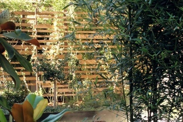 Sziget és bambuszok, fotó: Jávori Kriszti