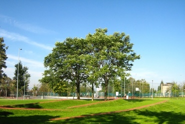 Havashalom park és Sashalmi sétány, fotó: Bolvári Eszter