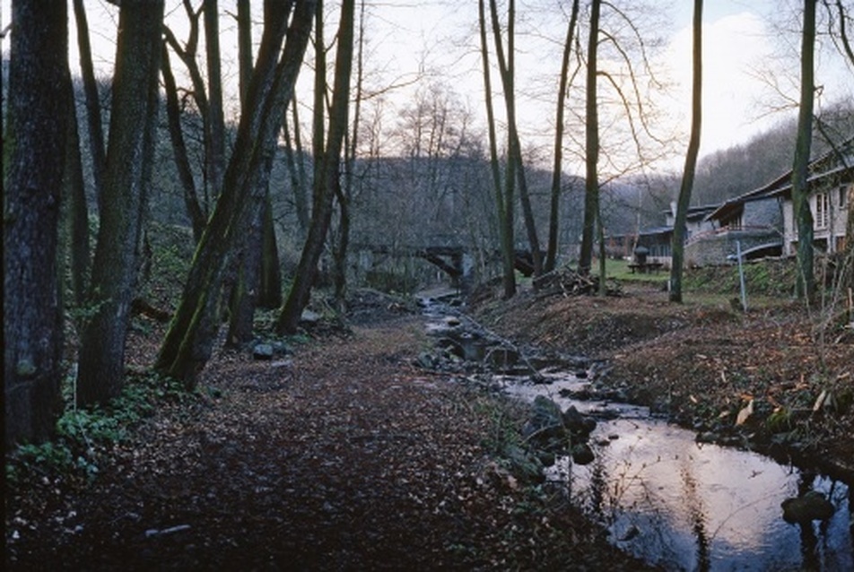  A nagy kerek erdő közepén, a patak partján épült. Fotográfus: Polgár Attila