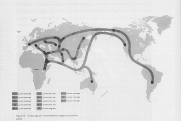 Az Y-kromoszóma leszármazás terjedése (Spencer Wells: The Journey of Man: A Genetic Odyssey, Random House, 2004)© Spencer Wells