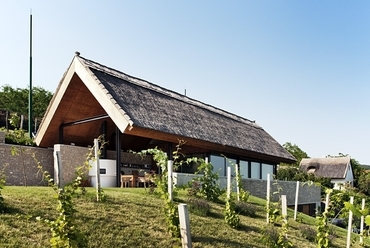Villa Balatonfüreden - fotó: Bujnovszky Tamás