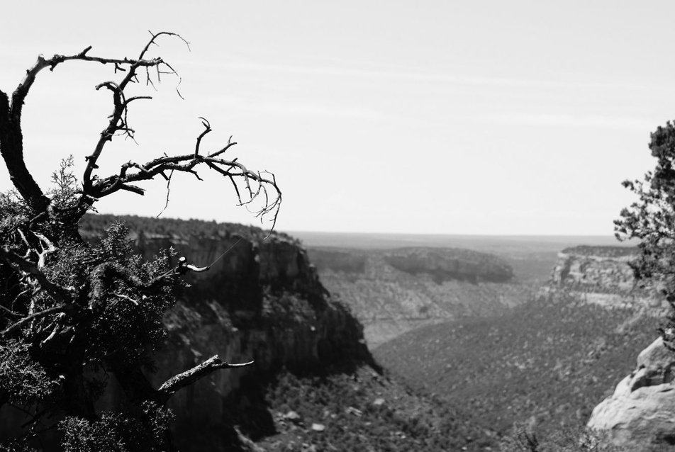 Mesa Verde, mint lakókörnyezet