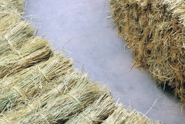 Learatott rizskévék, fotó: Satoshi Asakawa